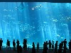 Okinawa5 063.jpg